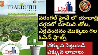 Open Plots For Sale Near Aler| యాదాద్రి దగ్గరలో Open Plots| DTCP layout|Diamond Infra Developers