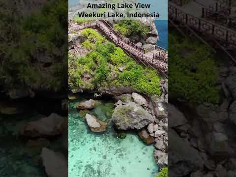 Weekuri lake Indonesia -Its Real Fairy-tale Place #travel #indonesia #shorts