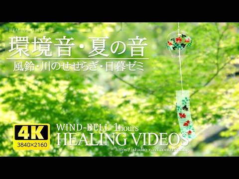 Environmental sounds/summer sounds “Wind chimes, Higurashi seminars, river murmuring sounds” ASMR