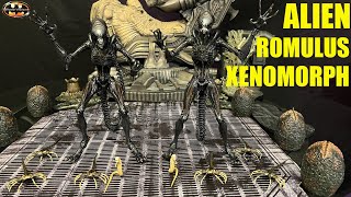 NECA Alien Romulus Scorched Xenomorph Action Figure Review & Comparison