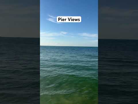 These amazing views from the Anna Maria Island Pier 🔥🔥🔥