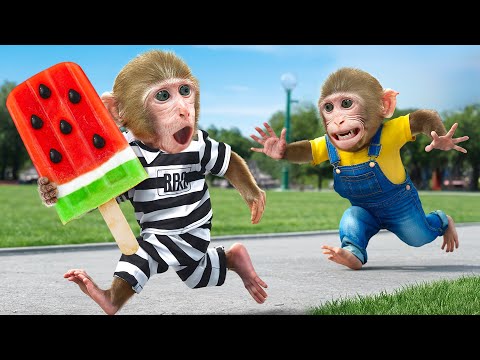 KiKi Monkey try to catch World's Biggest Watermelon Ice Cream from thief | KUDO ANIMAL KIKI