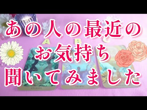 激白‼️😲あの人の最近の貴方への気持ちを聞いてみた‼️その中に貴方がまだ知らない想い🌈🌞片思い 両思い 複雑恋愛&障害のある恋愛 復縁 💌🕊️～🌈🦄タロット&オラクル恋愛鑑定