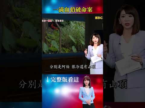 玄！智能障礙弟不斷嘀咕「阿伯 很冷 山頂」 助警破案！單純弟帶路尋屍...揭兄殺人惡行  #重案組 #台灣大代誌