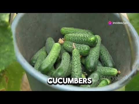 the world of growing tomatoes and cucumbers in your backyard