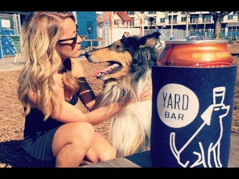 This Bar in Austin is Also a Dog Park