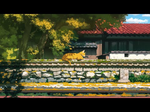 Lofi With My Cat || Autumn Wonderland 🍂🧡Lofi Deep Focus to study / relax [ Lofi Hip Hop ]