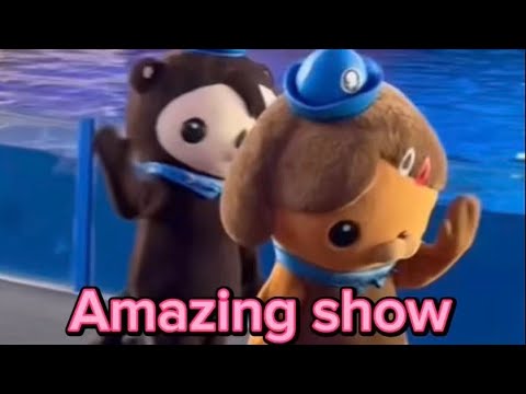 🟢 Amazing show #octonauts #stingray #sealion