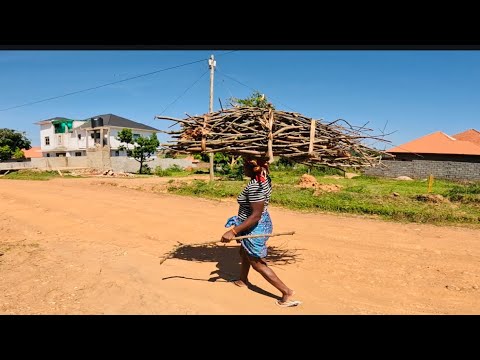 African village lifestyle// fetching firewood for cooking in my village