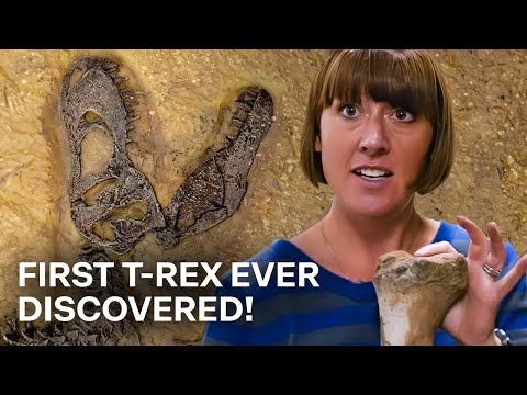 Rebuilding One of the Earliest Dinosaurs Ever Discovered  | Our History