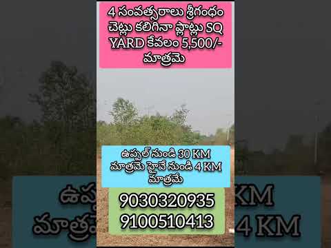 Warangal Highway Aleru open plots for sale #realestate