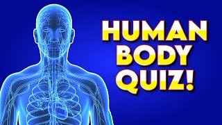 Can You Pass This Human Body Quiz? 🧠 General Knowledge Trivia Quiz