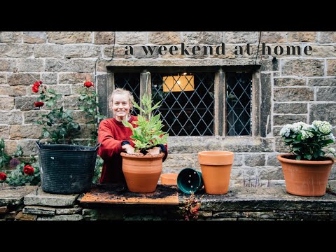 Creating a Cottage Garden | vlog