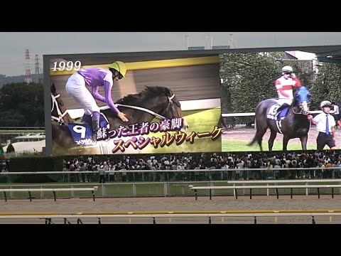 【天皇賞秋2024】レース前のカッコいい煽りV〜ファンファーレ生演奏【現地】