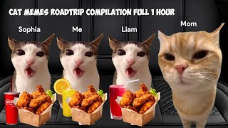 Cat MEMES Roadtrip Compilation Full 1 Hour