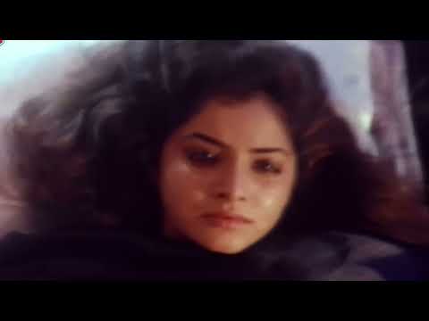 Tumhein Dekhen Meri Aankhen| Rang | Alka Yagnik | Kumar Sanu | 90's Sad Love Songs|Hindi Songs|