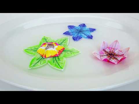 Magical Water Blossoms with Ana Dziengel