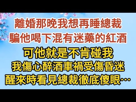 《隱藏的離婚秘密》第02集：離婚那晚我想再睡總裁，騙他喝下混有迷藥的紅酒，可他就是不肯碰我，我傷心醉酒車禍受傷昏迷，醒來時看見總裁徹底傻眼……#戀愛#婚姻#情感 #愛情#甜寵#故事#小說#霸總