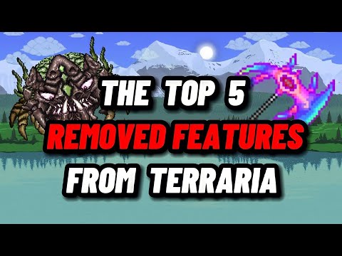 The TOP 5 REMOVED FEATURES from Terraria