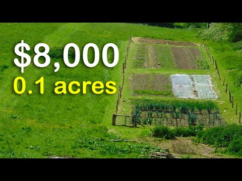 How I Will Make $8,000 a Year from 0.1 Acres of Land.