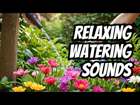 Simply Relaxing Watering Garden Ambience ASMR