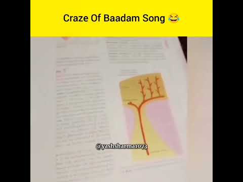 craze of badam song 😂😂 #badamsong #short