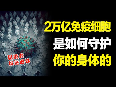 人体内两万亿多的免疫细胞，它是如何保护我们人体的