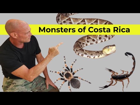 Dangerous Costa Rica - Monsters of Costa Rica