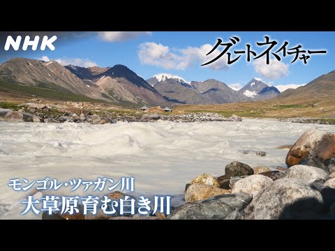 [グレートネイチャー] 大草原育む 白き川 ～モンゴル・ツァガン川～ | NHK