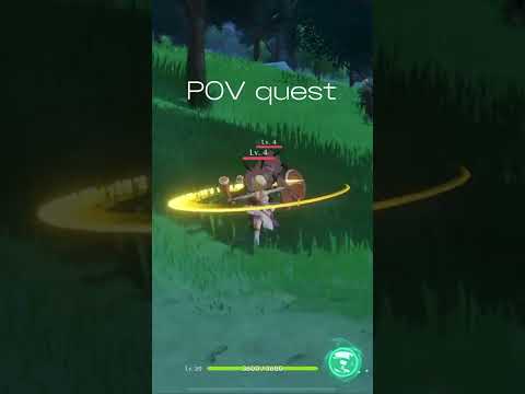 Pov quests