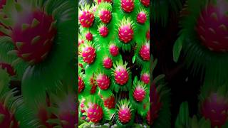 fast easy method for planting and growing dragon fruit trees 99% successful. #gardening