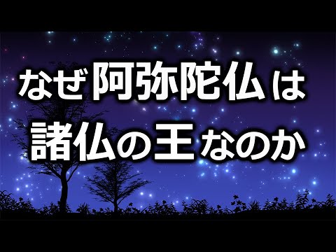 阿弥陀仏が「諸仏の王」と言われる理由【浄土真宗の教え】