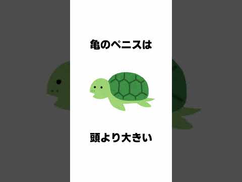 生き物に関する面白い雑学 続きは本編で #Shorts #雑学 #豆知識