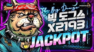 [슬롯사이트] 더 빅 도그스 2193배 잭팟 Pragmatic Play JackPot [강원랜드] #슬롯 #슬롯머신 #슬롯실시간 #슬롯사이트