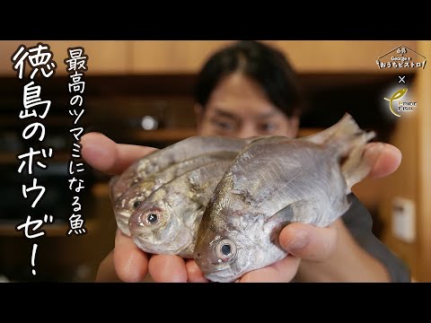 【徳島県民に愛される魚】最高のツマミになる魚「ボウゼ」をフレンチの定番レシピ、バロティーヌに【白鶴 × Georgeのおうちビストロ】