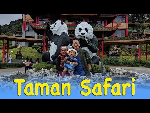 Playing with Panda's at Taman Safari!