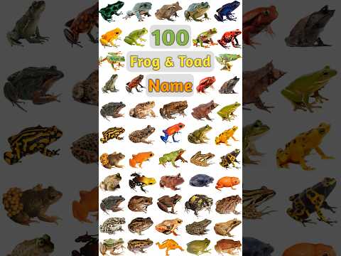 100 Frog & Toad Name : Part- 02 #frogspecies #frogs #frognames #frog #toadnames #frogandtoad