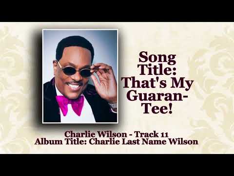 Charlie Wilson "My Guarantee" (HQ) w-Lyrics - Custom Audiovisual