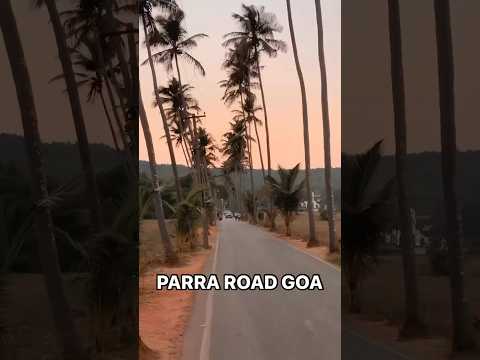 #parraroad #goa #goaexplore #goavibes #goa #goatourism #goalife #ytshots #viral#travelblogger