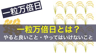 一粒万倍日とは？やってはいけないこと・やると良いこと｜日本の年中行事YouTubeチャンネル