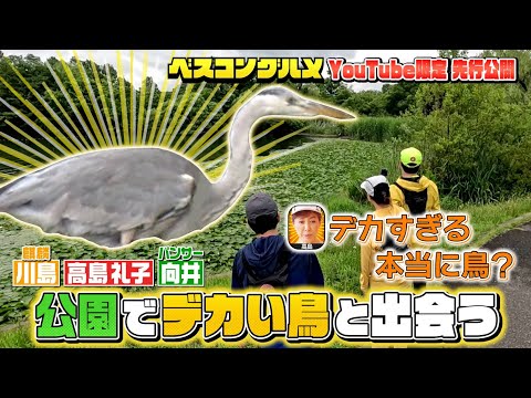 【先行配信】川島さん&高島礼子さん&パンサー向井さんが公園でデカい鳥と出会う『ベスコングルメ』【TBS】