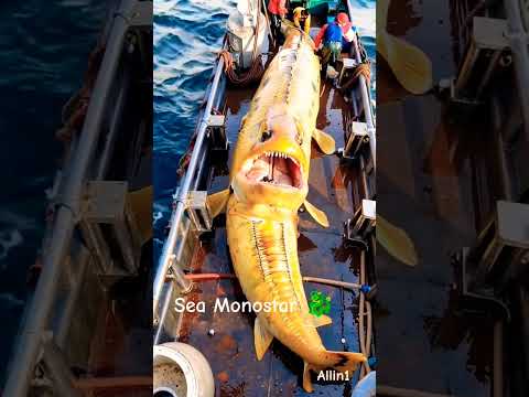 HUGE FISH caught by brave fishermen🌊🐟#DeepSeaMonsters #FishingDiscover #ai #shorts #viral #trending