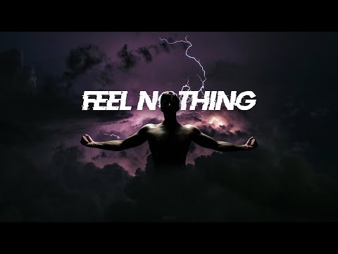 The Plot in You - FEEL NOTHING (ANIZYZ Hardstyle Remix)