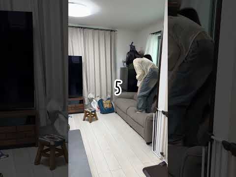 画面に映らないように隠れろ！５秒かくれんぼチャレンジやってみたら…www #Shorts