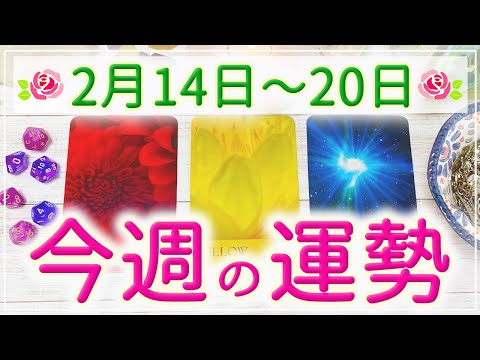 🌈後半上昇️😆💕 ⤴️🌈細密Weekly🃏3つのYesNo🌸2月14日〜20日の運勢✨💕🍀🦋🌈🔮3択タロット＆チャーム＆ルノルマン＆オラクルカードリーディング