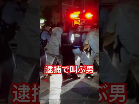 確保で叫け暴れる男がヤバい #警察  #職質 #新宿  Xより動画シェア「東京夜散歩」