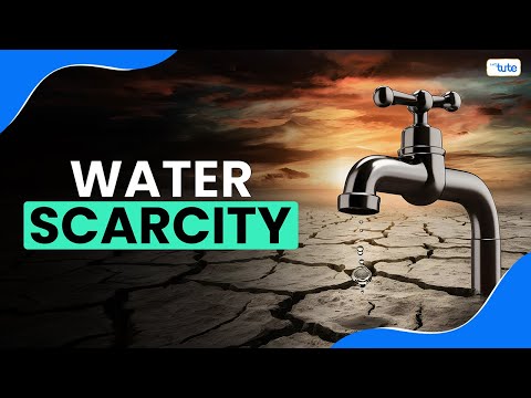 What is Water Scarcity? | Causes, Impacts, and Solutions for Water Scarcity | Letstute