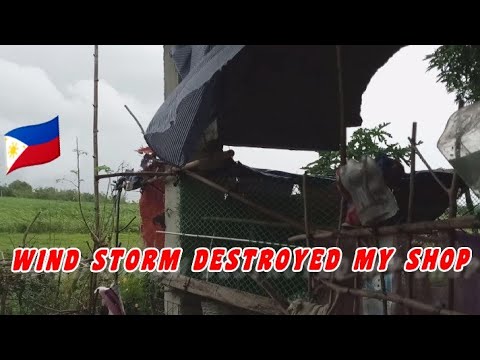 THIS STRONG WIND STORM DESTROYED MY SHOP||JuvsVlog Filipina Life 🇵🇭