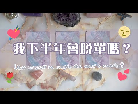 🔮{塔羅愛情占卜}🌹我下半年會脫單嗎？💞愛情能量檢測、脫單預測｜TIMELESS