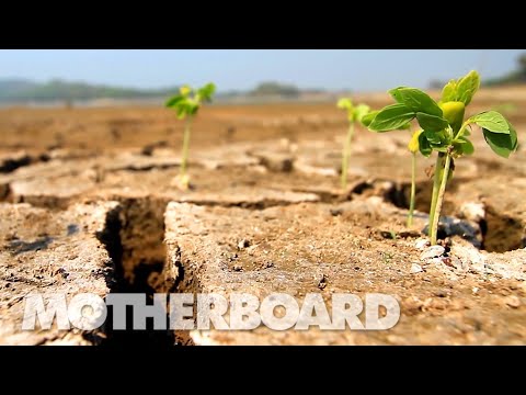 地球の未来を予測する 気候変動シミュレーション